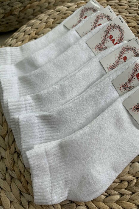 COTTON WOMEN ANKLE SOCKS WHITE-E BARDHE - 3