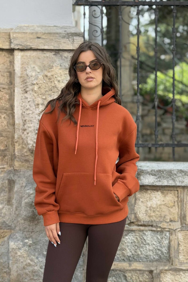 FLUFFY SMALL SIMPLE FRONT WRITTING WOMEN HOODIE BRICK/TULLE - 2
