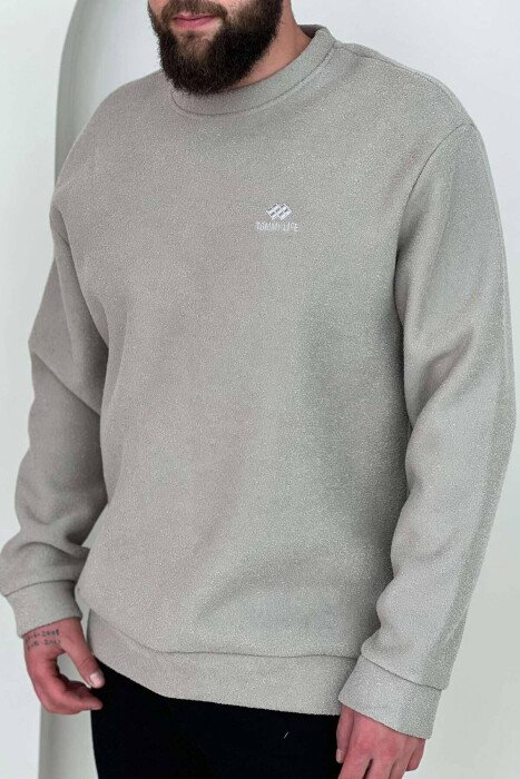 POLAR ONE COLOR MEN SWEATSHIRT BEIGE/BEZHE - 2