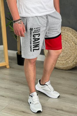 TWO COLORS SHORTS MEN GREY/GRI - 4